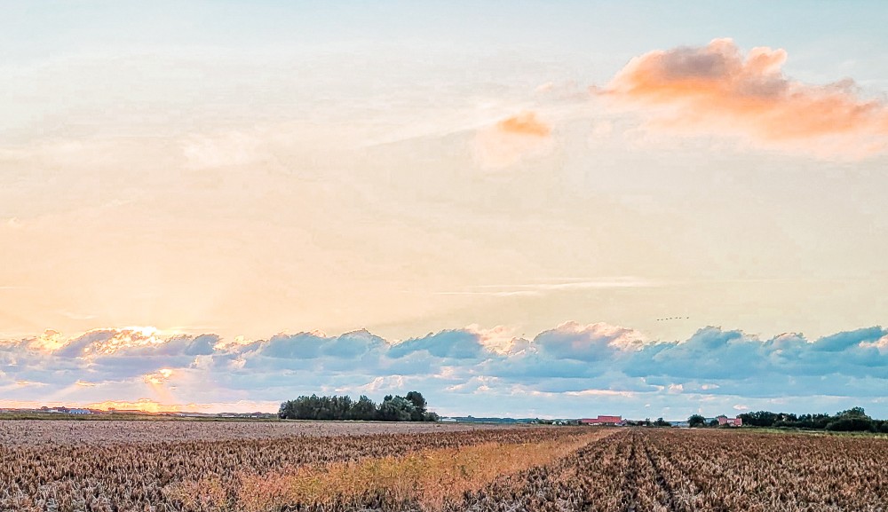 Zonsondergang boven de akkers van polder Eierland